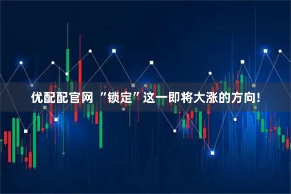 优配配官网 “锁定”这一即将大涨的方向!