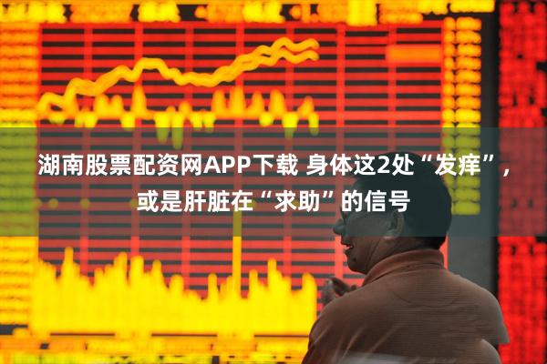 湖南股票配资网APP下载 身体这2处“发痒”，或是肝脏在“求助”的信号