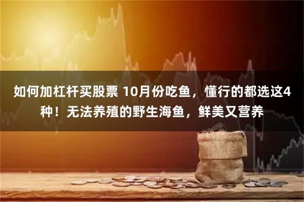 如何加杠杆买股票 10月份吃鱼，懂行的都选这4种！无法养殖的野生海鱼，鲜美又营养