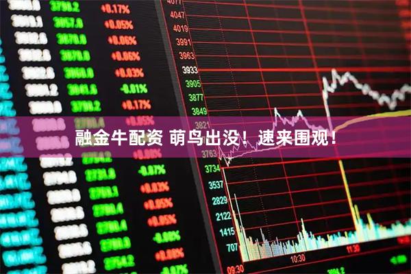 融金牛配资 萌鸟出没！速来围观！