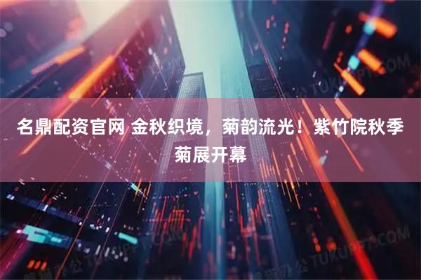 名鼎配资官网 金秋织境，菊韵流光！紫竹院秋季菊展开幕